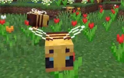 Cómo criar abejas en Minecraft